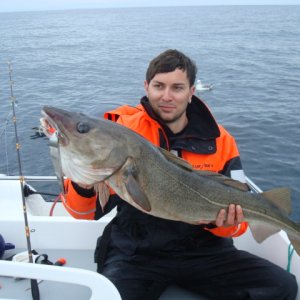 Gastangler mit dickem Dorsch