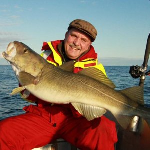 103cm Dorsch