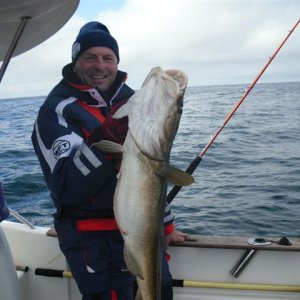 schöner Dorsch  gefangen in 60 Meter Tiefe