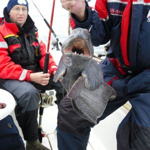 Rolands Steinbeisser