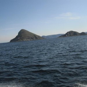 DSCF0114