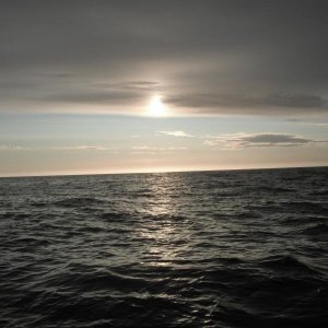 DSCF0151