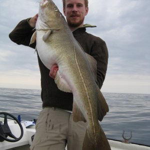 Dorsch 12,9 kg