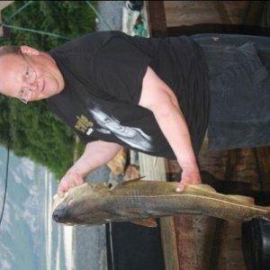IMG 4789 400x600