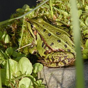 P5090327