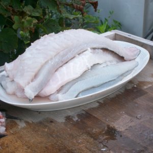 schöne Filets