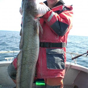 Mein neuer Lengrekord; 156cm, ca.16kg