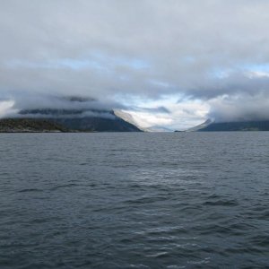 IMG 4241