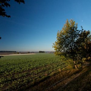 frühaufsteher4