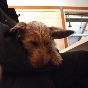 und nun ist ODIN müde