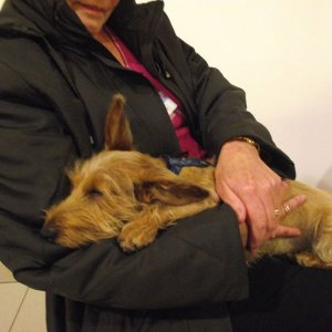 ODIN ist immer noch KO