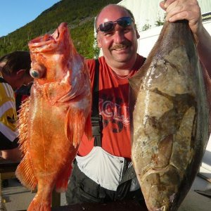 Mein erster Rotbarsch und mein erster Heilbutt