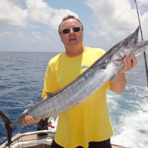 Wahoo