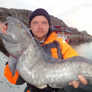 gestr.Seewolf 12,9kg