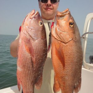 African red snapper