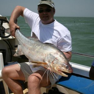 Giant African Threadfin