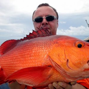 snapper red twospoted 2