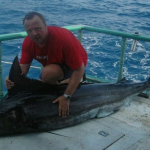 Blue Marlin