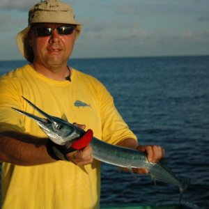 crocodile Houndsfish