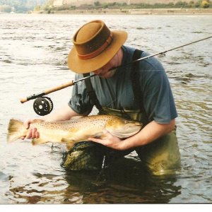 Forelle aus dem Rhein. Was ein Klotz.