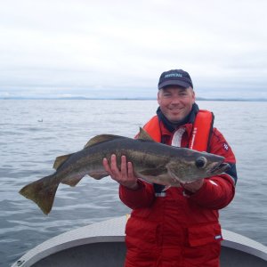 Ein Siegerfisch- Pollack über 5 kg