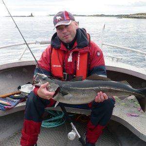 ein Siegerfisch, Seelachs 6,5kg