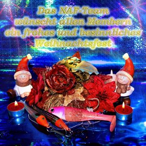 NAF Weihnachtsgruss