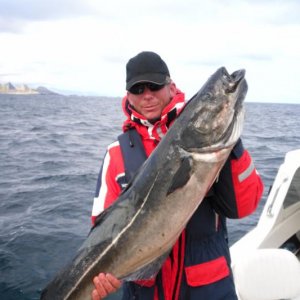 Bützow mit Seelachs - 1,21m