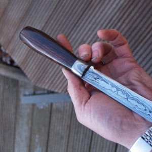 P2010431 Bildgröße ändern