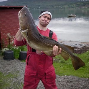 Dorsch 15kg