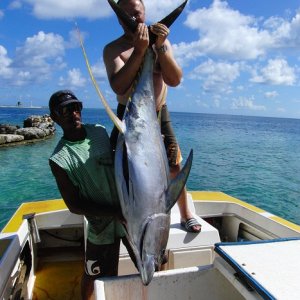 BIG Yellowfintuna