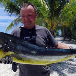 dolphinfish male