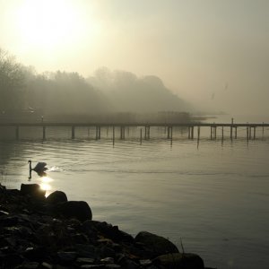 002012hering2