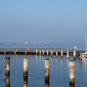 002012hering4