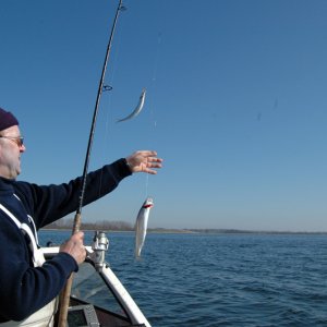 002012hering7