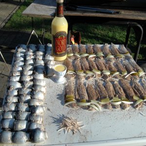 002012hering12