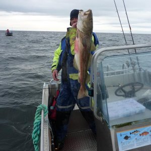 Mein Größter 2012. 8,5 Kg