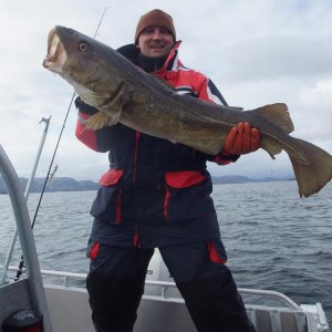 Dorsch - 12 kg, 120 cm