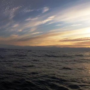 Soroya201212