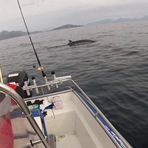 Soroya201218