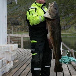 Soroya201242