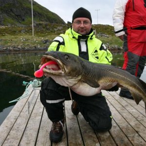 Soroya201244