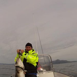 Soroya201240