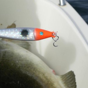 Röst 2012 11.08.2012 015