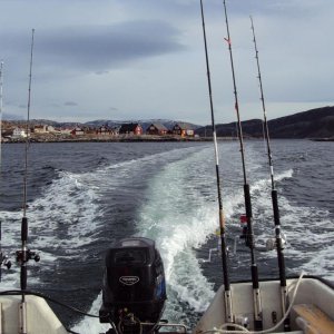 DSC01350