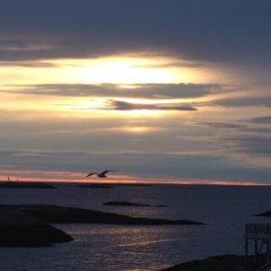DSC01396