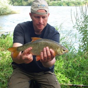 schöne Plötze 1,5kg, 46cm