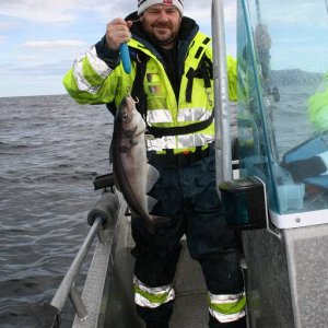 IMG 6222 (1024 x 768)