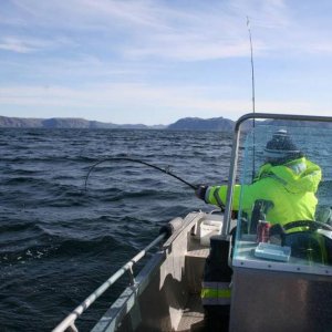 IMG 6180 (1024 x 768)