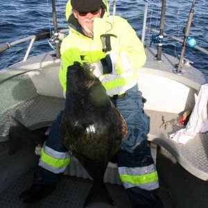 IMG 6212 (1024 x 768)